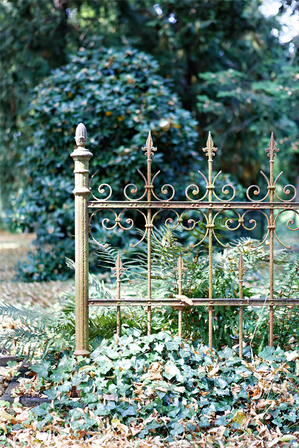 020 | 2025 | Görlitz | Alter Friedhof | © carsten riede fotografie