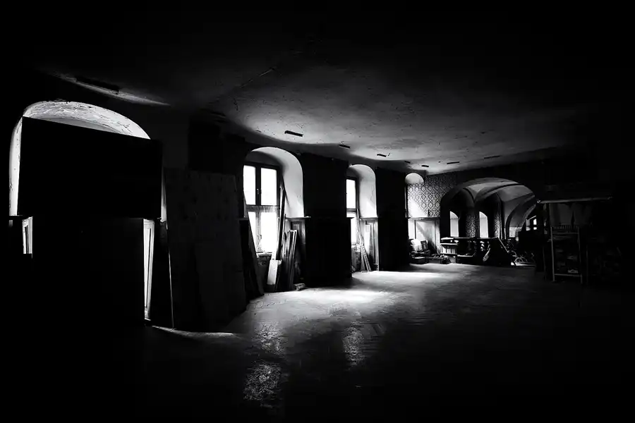 003 | 2025 | Görlitz | Brauner Hirsch | © carsten riede fotografie