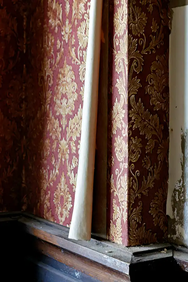 004 | 2025 | Görlitz | Brauner Hirsch | © carsten riede fotografie