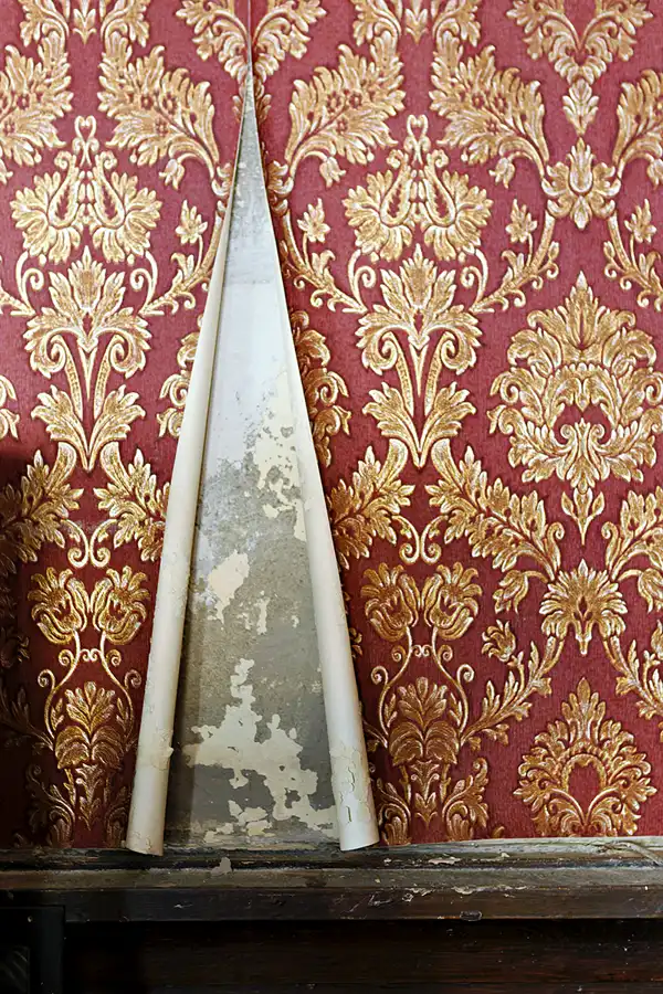 005 | 2025 | Görlitz | Brauner Hirsch | © carsten riede fotografie