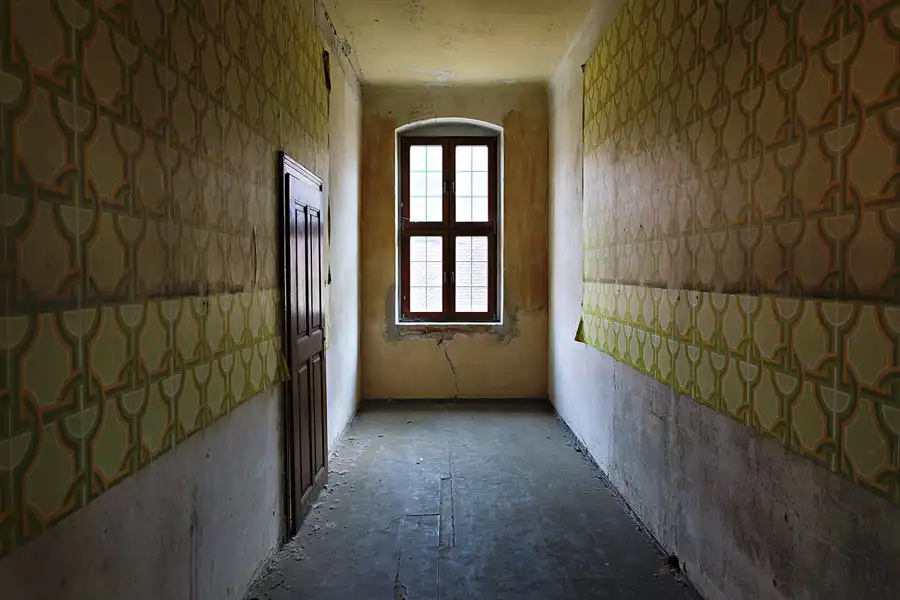 010 | 2025 | Görlitz | Brauner Hirsch | © carsten riede fotografie