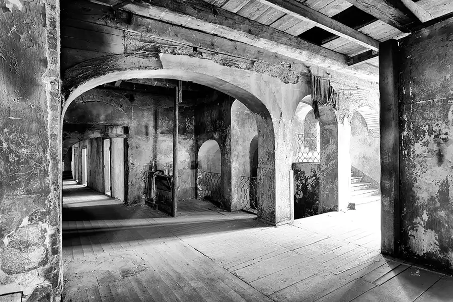 015 | 2025 | Görlitz | Brauner Hirsch | © carsten riede fotografie