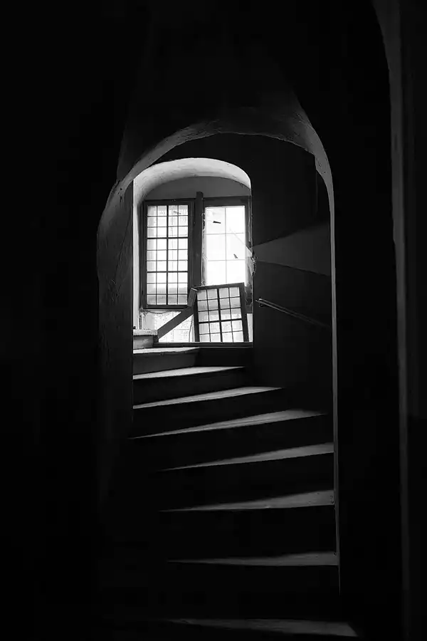 017 | 2025 | Görlitz | Brauner Hirsch | © carsten riede fotografie