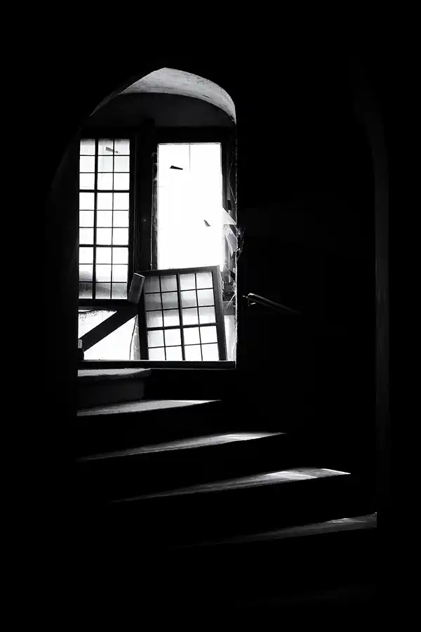 018 | 2025 | Görlitz | Brauner Hirsch | © carsten riede fotografie