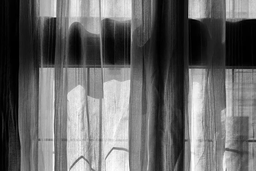 027 | 2025 | Görlitz | Brauner Hirsch | © carsten riede fotografie