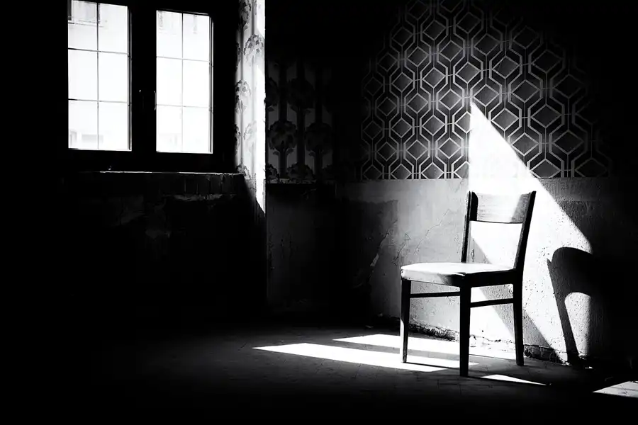 028 | 2025 | Görlitz | Brauner Hirsch | © carsten riede fotografie