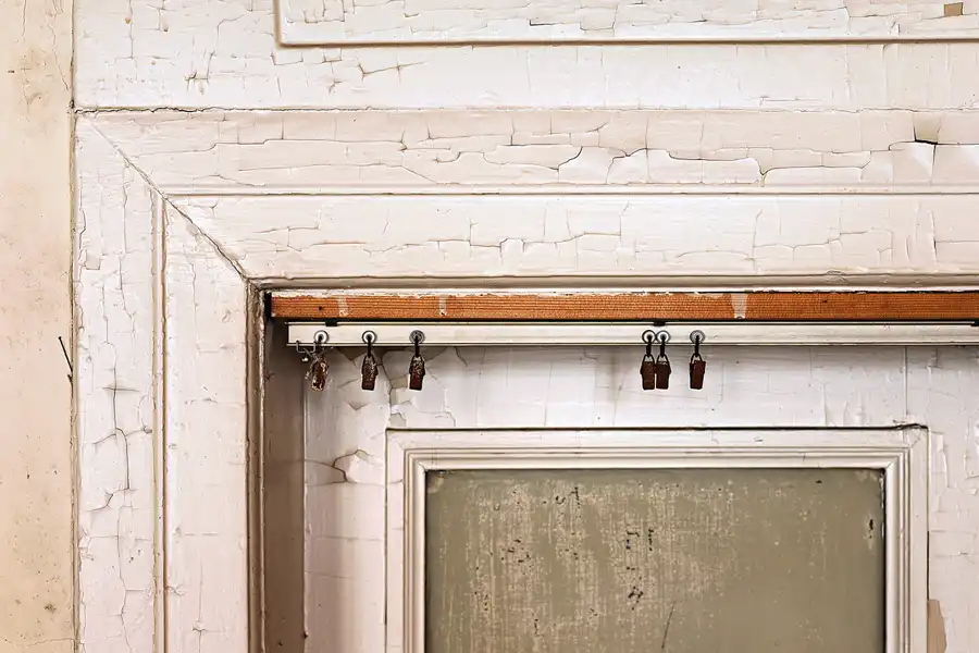 032 | 2025 | Görlitz | Brauner Hirsch | © carsten riede fotografie