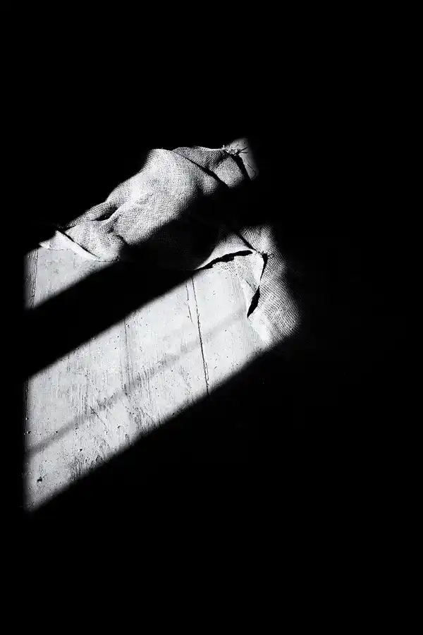 040 | 2025 | Görlitz | Brauner Hirsch | © carsten riede fotografie