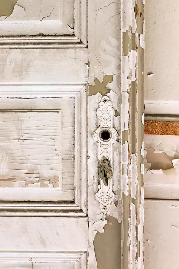 045 | 2025 | Görlitz | Brauner Hirsch | © carsten riede fotografie