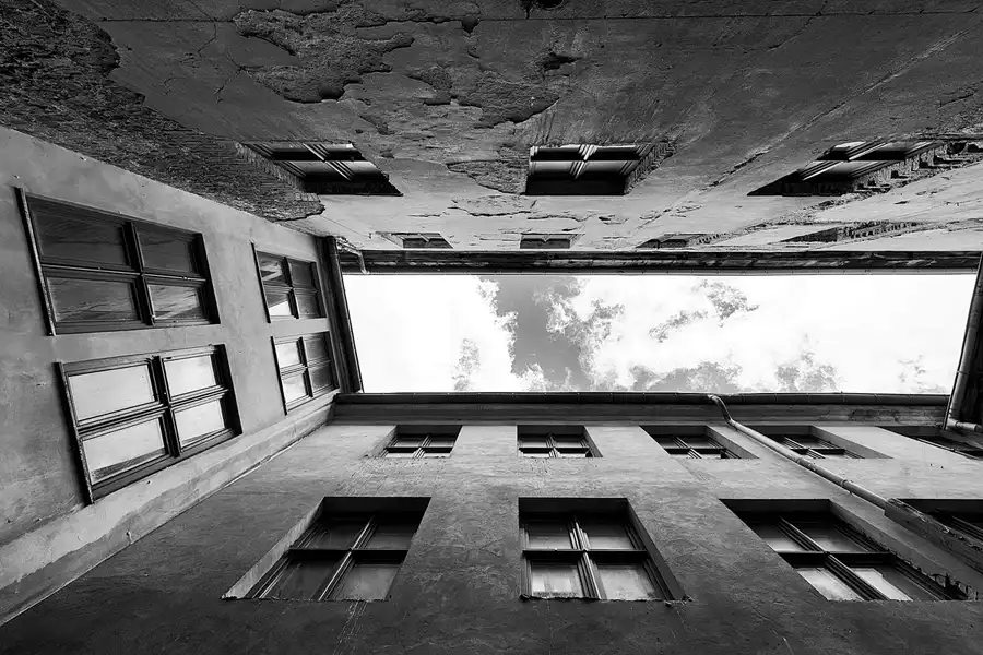 050 | 2025 | Görlitz | Brauner Hirsch | © carsten riede fotografie