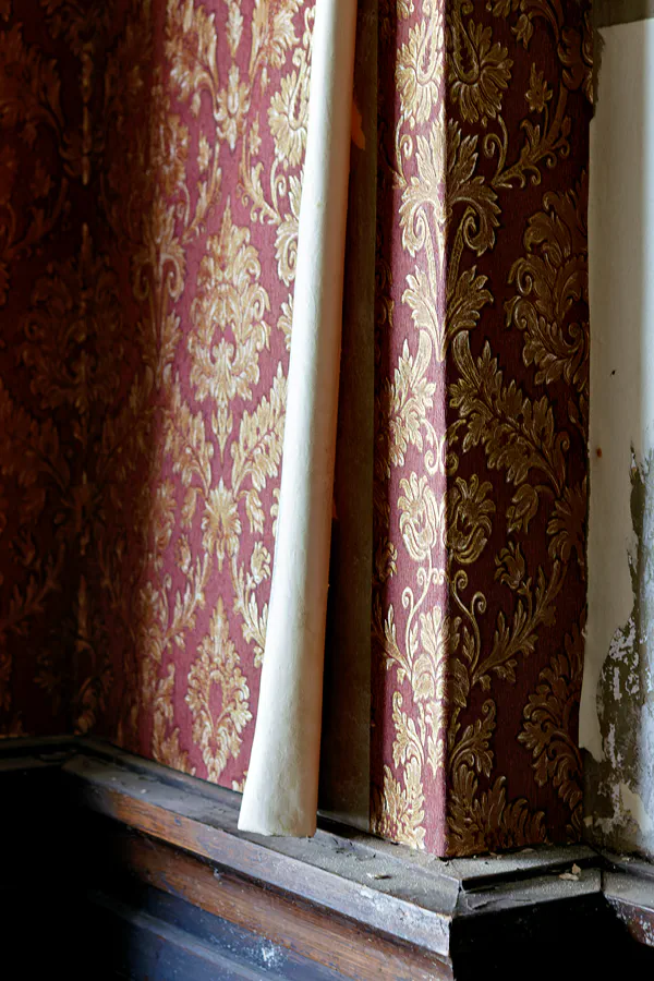 004 | 2025 | Görlitz | Brauner Hirsch | © carsten riede fotografie