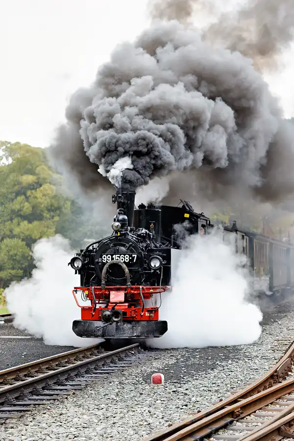 121 | 2025 | Steinbach bei Jöhstadt | Bahnhof – Pressnitztalbahn | © carsten riede fotografie