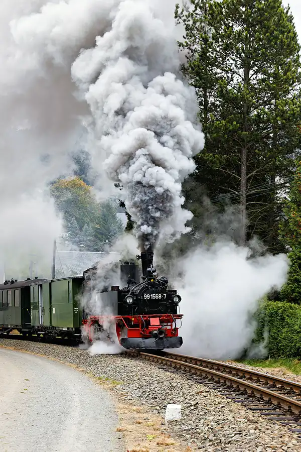 177 | 2025 | Schmalzgrube | Pressnitztalbahn | © carsten riede fotografie