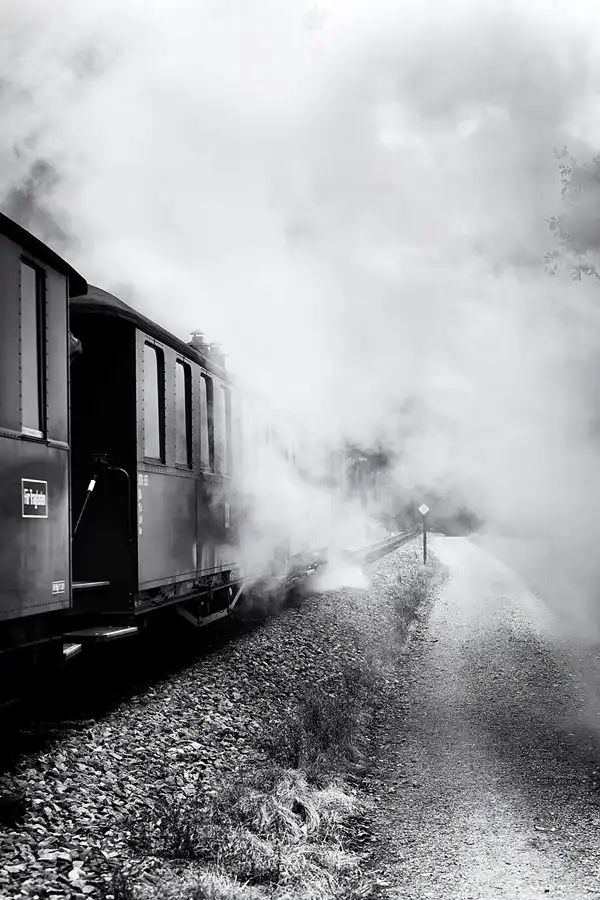 179 | 2025 | Schmalzgrube | Pressnitztalbahn | © carsten riede fotografie