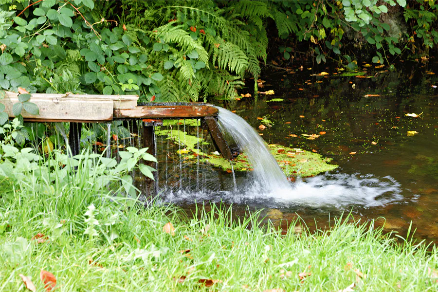 107 | 2025 | Steinbach bei Jöhstadt | © carsten riede fotografie