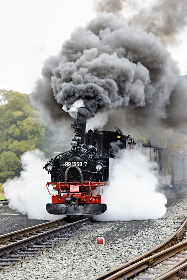 121 | 2025 | Steinbach bei Jöhstadt | Bahnhof – Pressnitztalbahn | © carsten riede fotografie
