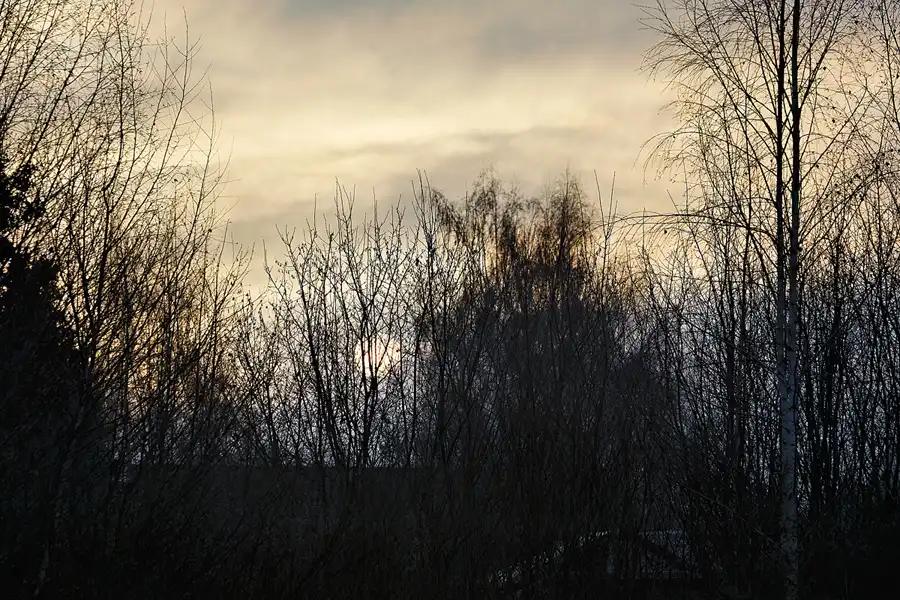 208 | 2025 | Zittau | © carsten riede fotografie