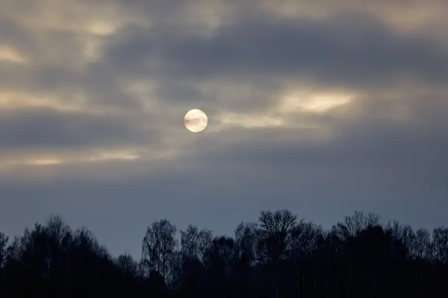 212 | 2025 | Zittau | © carsten riede fotografie