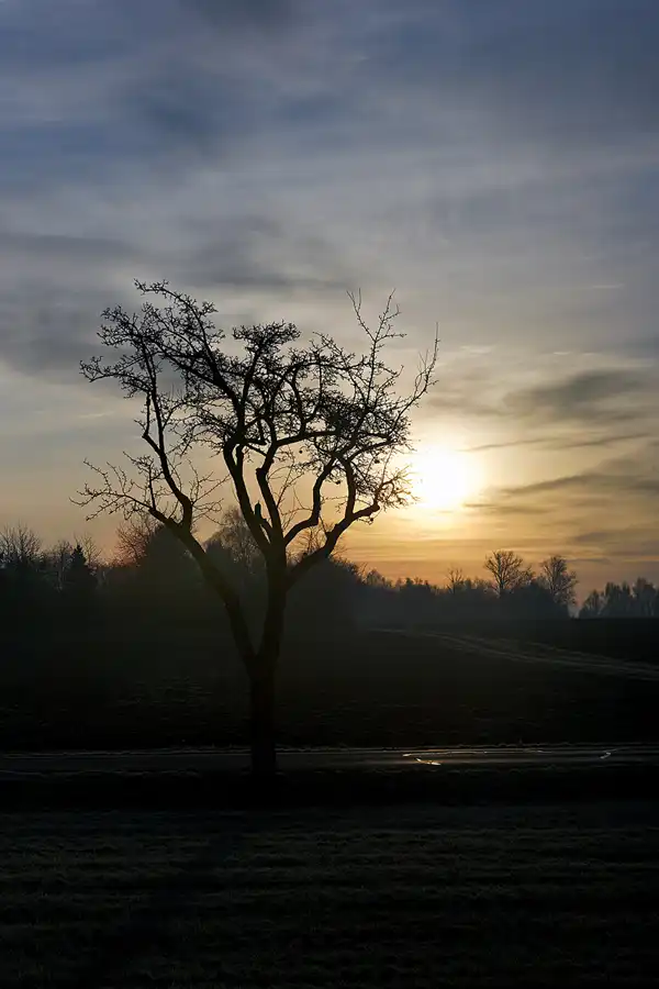 213 | 2025 | Zittau | © carsten riede fotografie