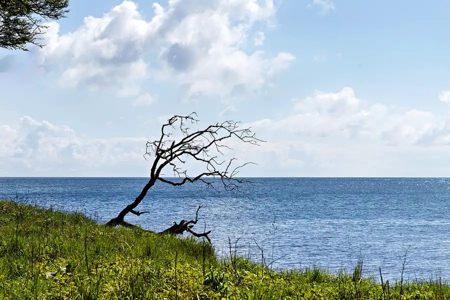 025 | 2026 | Bagenkop | Dovns Klint | © carsten riede fotografie