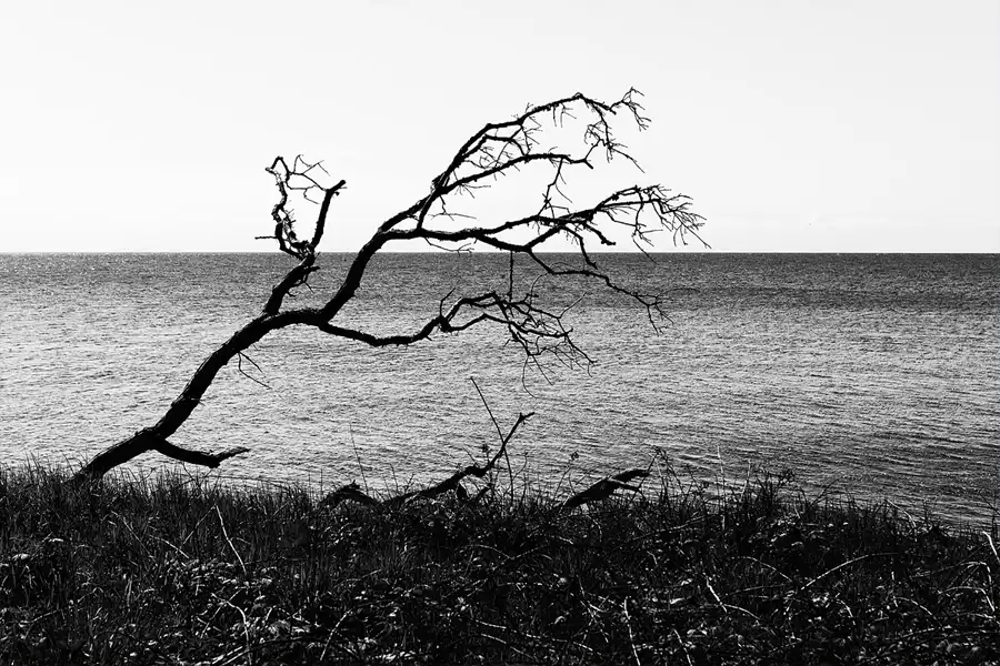 026 | 2026 | Bagenkop | Dovns Klint | © carsten riede fotografie