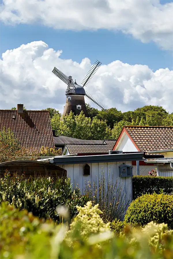 114 | 2026 | Nyborg | Dyrehave Mølle | © carsten riede fotografie