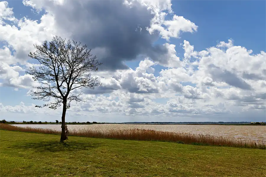 115 | 2026 | Nyborg | © carsten riede fotografie