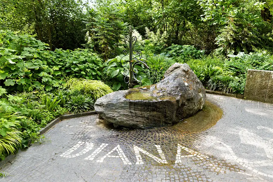 002 | 2026 | Insel Mainau | © carsten riede fotografie