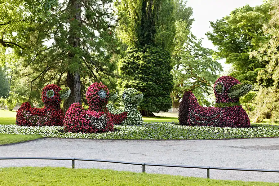 003 | 2026 | Insel Mainau | © carsten riede fotografie