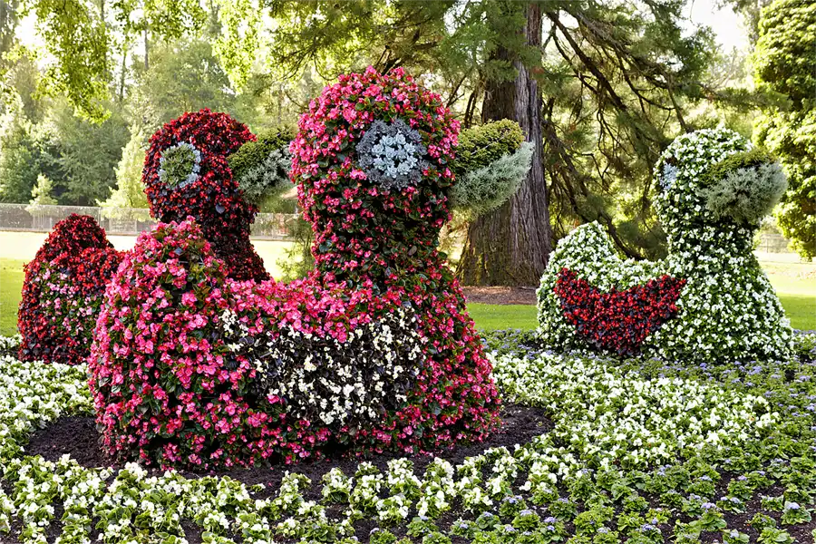 004 | 2026 | Insel Mainau | © carsten riede fotografie