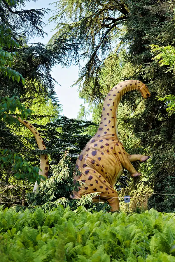 009 | 2026 | Insel Mainau | © carsten riede fotografie