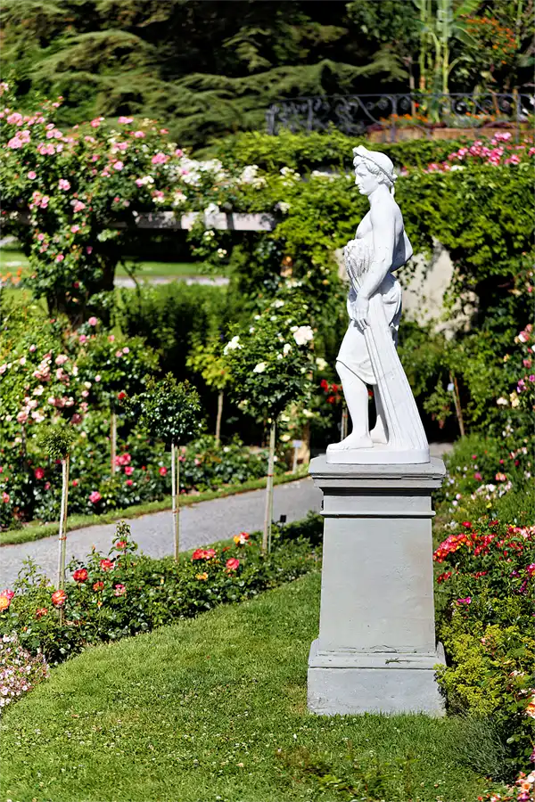 029 | 2026 | Insel Mainau | © carsten riede fotografie