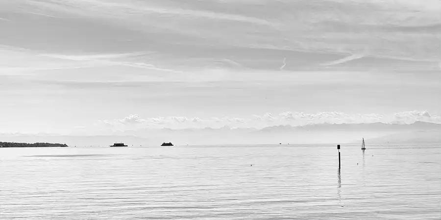 041 | 2026 | Insel Mainau | © carsten riede fotografie