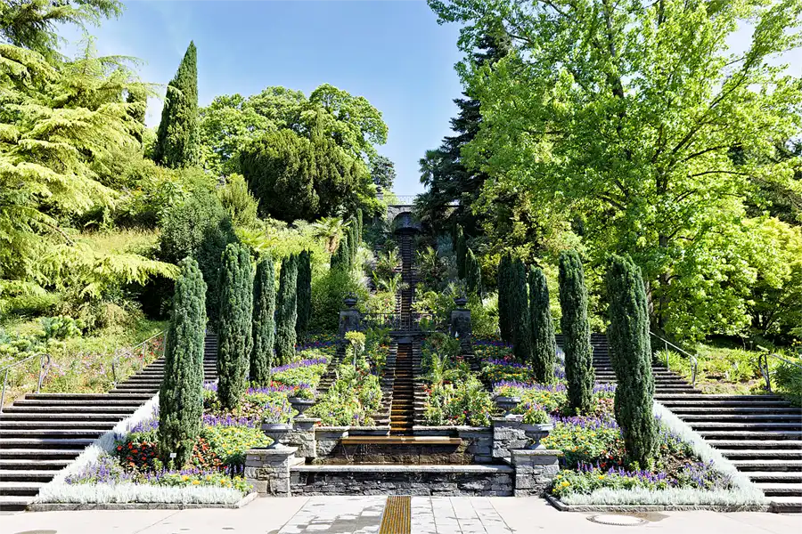 043 | 2026 | Insel Mainau | © carsten riede fotografie