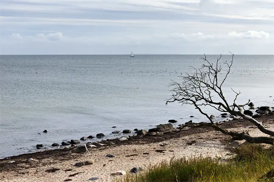 022 | 2026 | Fehmarn | Steilküste Staberhuk | © carsten riede fotografie