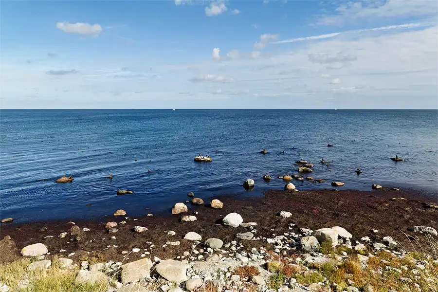 024 | 2026 | Fehmarn | Steilküste Staberhuk | © carsten riede fotografie