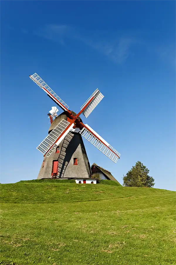 031 | 2026 | Nordborg | Havnbjerg Molle | © carsten riede fotografie
