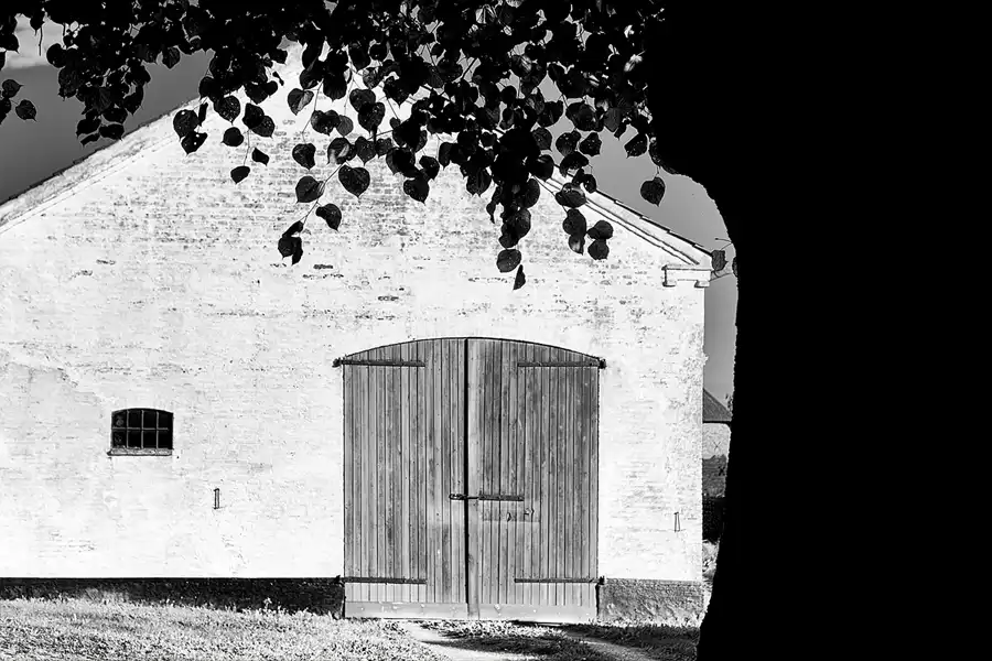 084 | 2026 | Augustenborg | © carsten riede fotografie