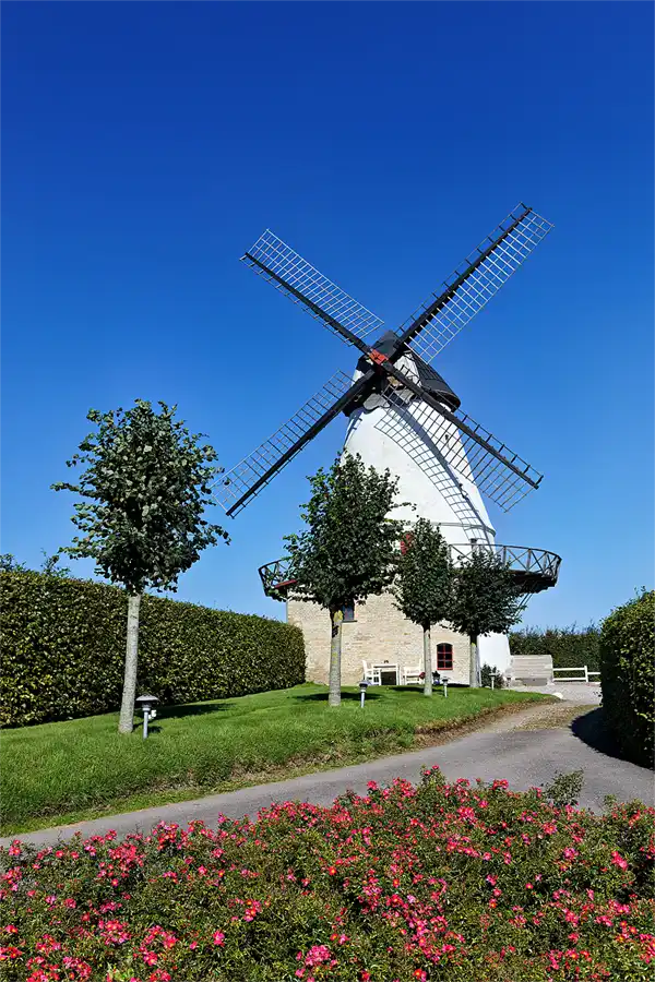 126 | 2026 | Sonderborg | Nybol Molle | © carsten riede fotografie