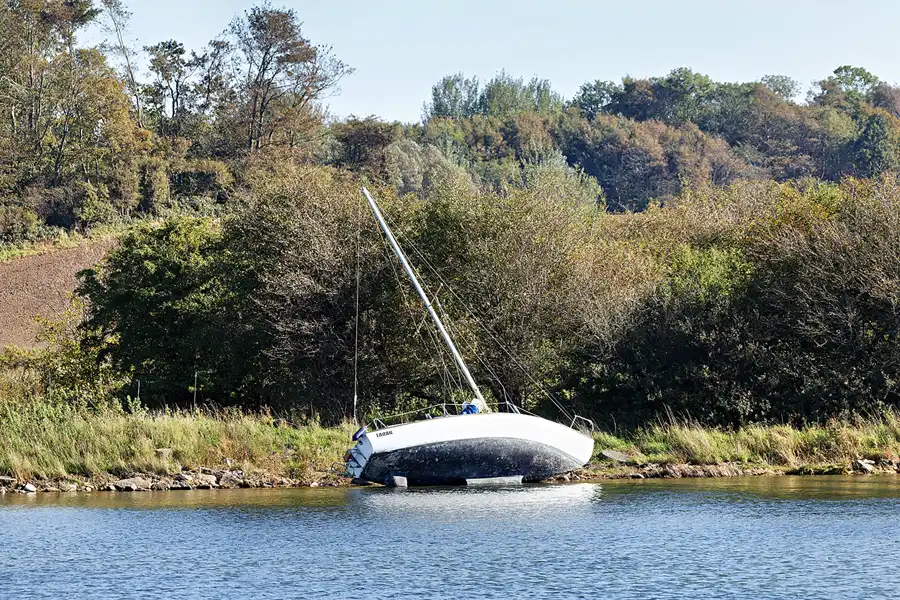 134 | 2026 | Nordborg | Stevning Nor | © carsten riede fotografie