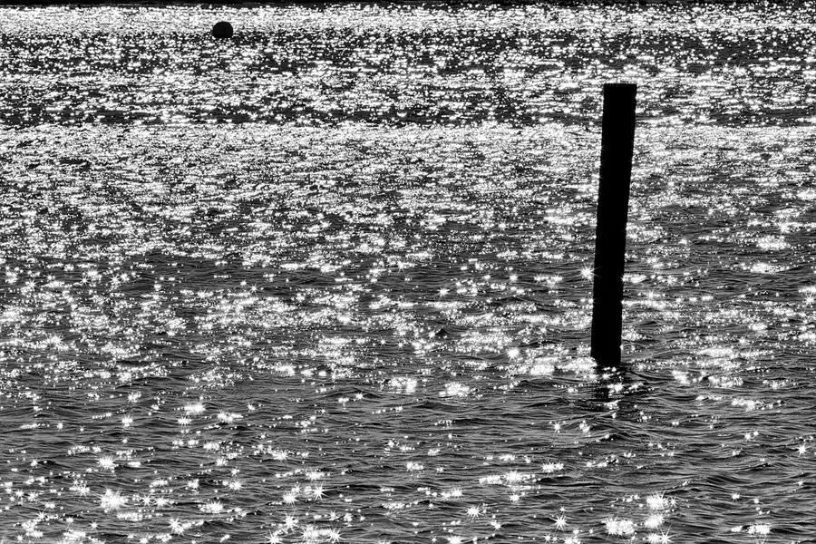 136 | 2026 | Nordborg | Stevning Nor | © carsten riede fotografie