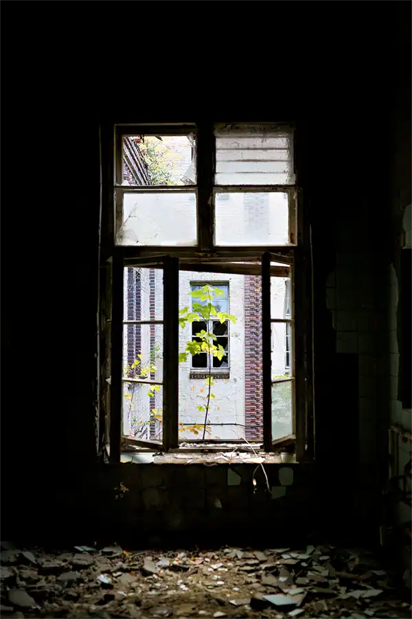 026 | 2026 | Beelitz-Heilstätten | Heilstätten | © carsten riede fotografie