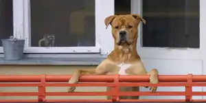 2002 | EUROPA | VARIA 2002 | © carsten riede fotografie