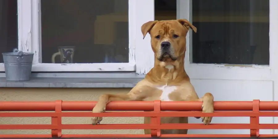 2002 | EUROPA | VARIA 2002 | © carsten riede fotografie