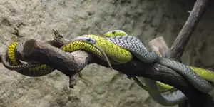 2002 | BERLIN | TIERPARK FRIEDRICHSFELDE | © carsten riede fotografie