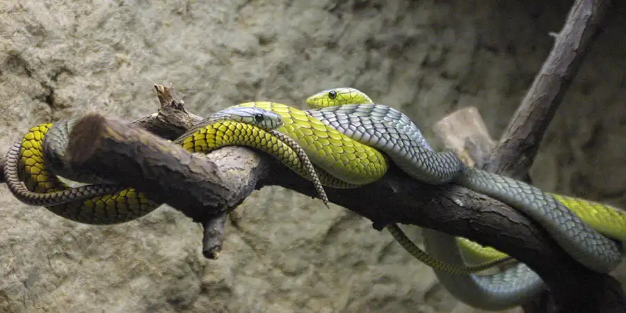 2002 | BERLIN | TIERPARK FRIEDRICHSFELDE | © carsten riede fotografie