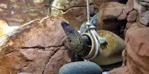 2004 | BERLIN | SEA LIFE CENTER & AQUA DOM | © carsten riede fotografie