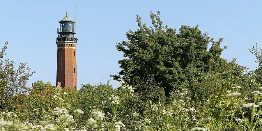2008 | GREIFSWALDER OIE | INSEL RUDEN | NATURSCHUTZGEBIETE | © carsten riede fotografie