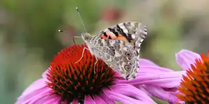 2009 | ORANIENBURG | LANDESGARTENSCHAU | © carsten riede fotografie