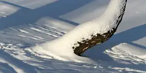 2010 | BERLIN | WINTER | © carsten riede fotografie